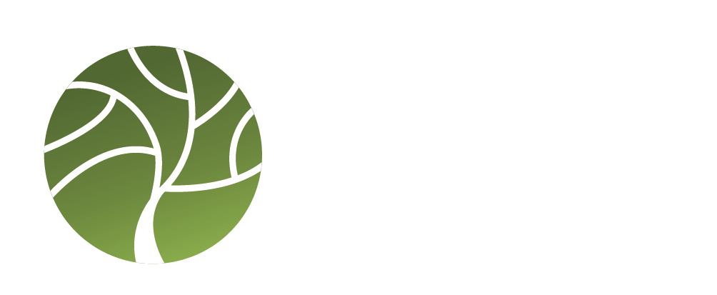 Abords Jardins, votre paysagiste sur le secteur de Saint Hilaire de Riez