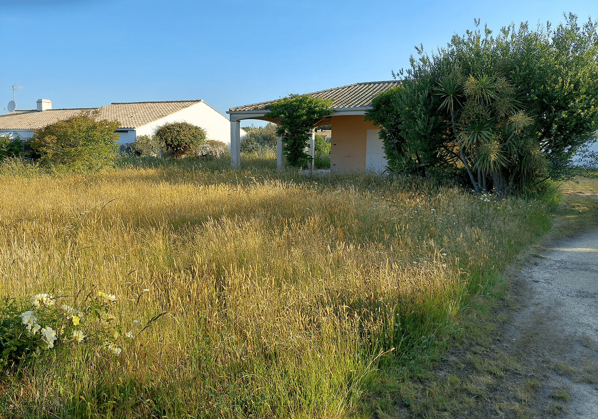 Abords Jardins, votre paysagiste sur le secteur de Saint Hilaire de Riez