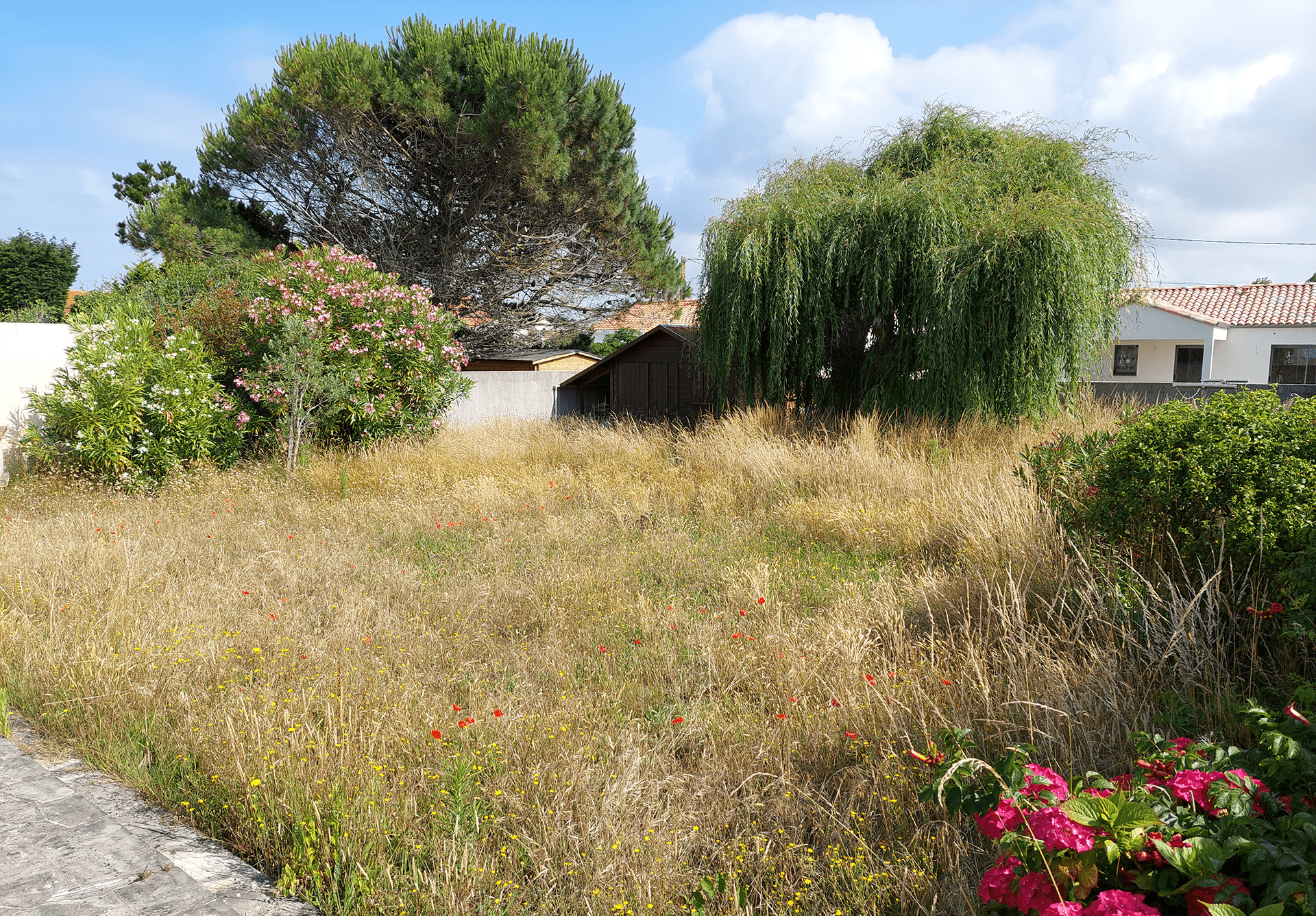 Abords Jardins, votre paysagiste sur le secteur de Saint Hilaire de Riez